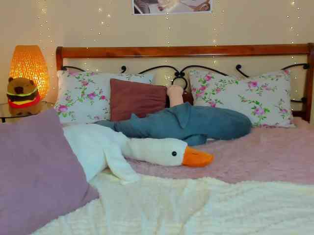 miya-soft