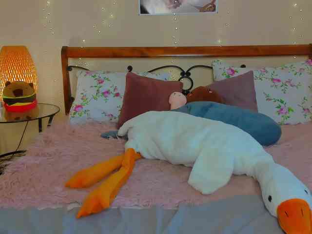 miya-soft webcam