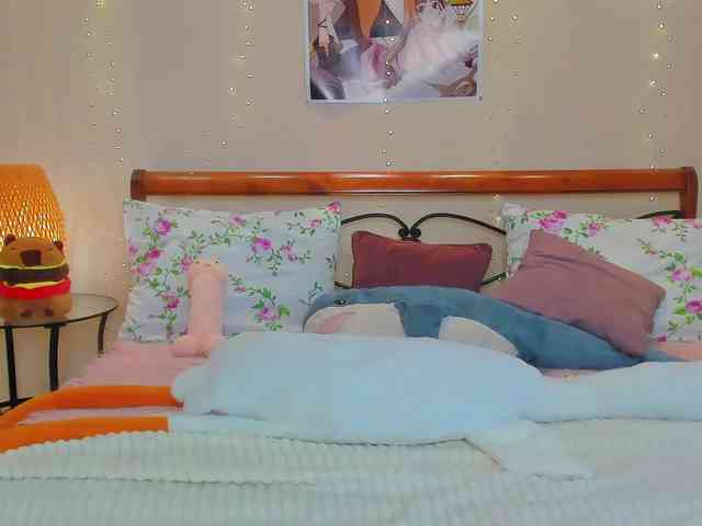 miya-soft webcam