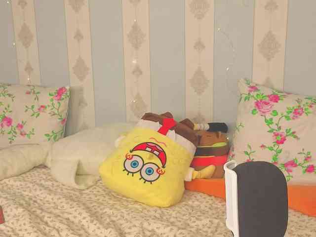 miya-soft webcam
