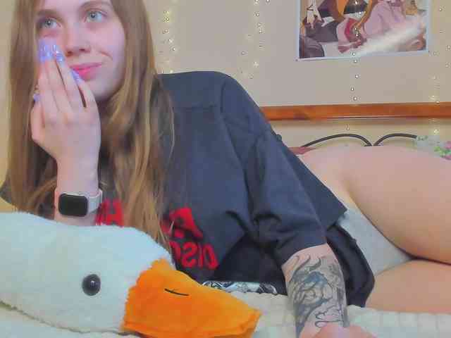 miya-soft webcam