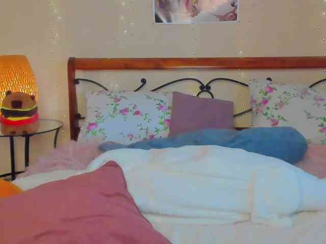 miya-soft webcam