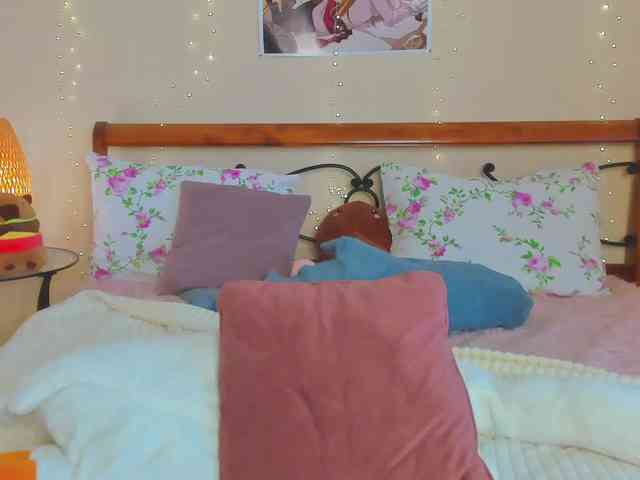 miya-soft webcam