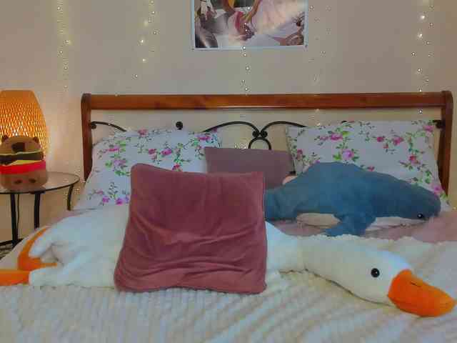 miya-soft webcam