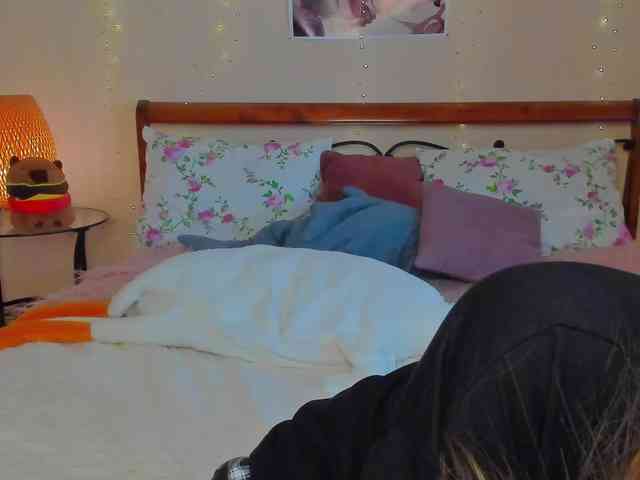 miya-soft webcam