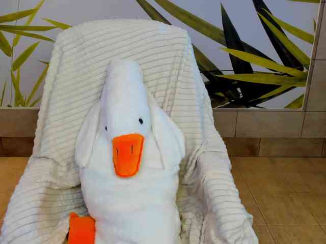 miya-soft webcam