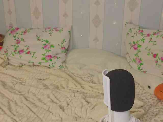 miya-soft webcam