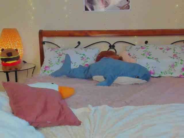 miya-soft webcam
