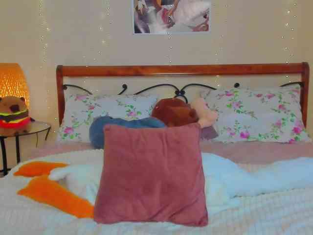 miya-soft webcam