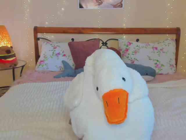 miya-soft webcam