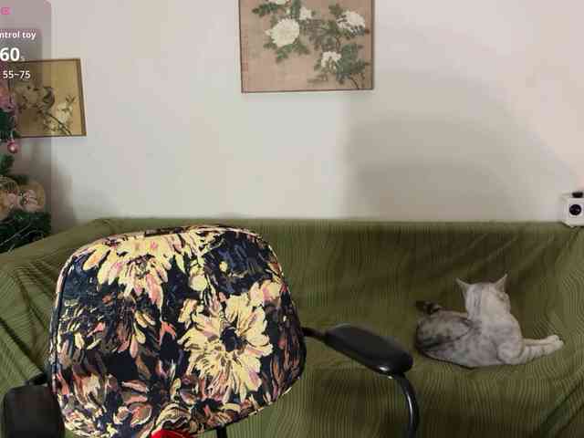 nanaliu webcam