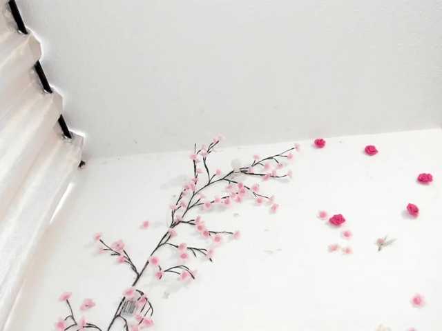 NicoRobinx live cam on BongaCams