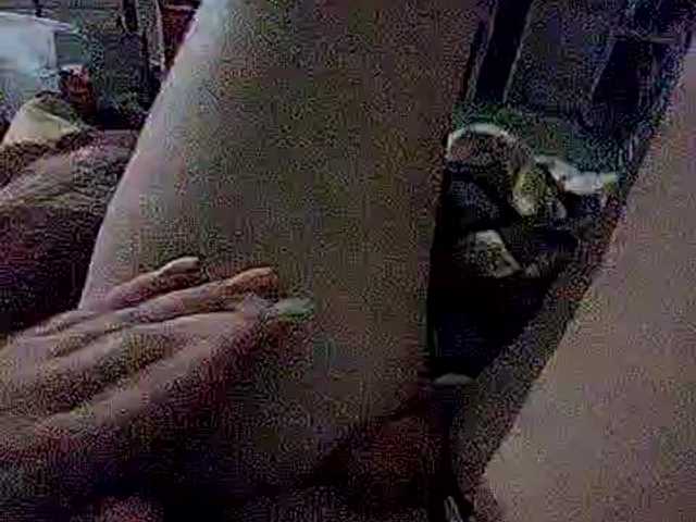 GirlWithACrystal