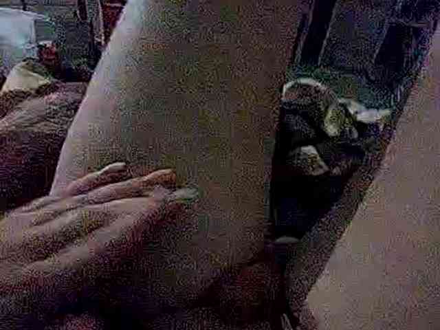 GirlWithACrystal webcam