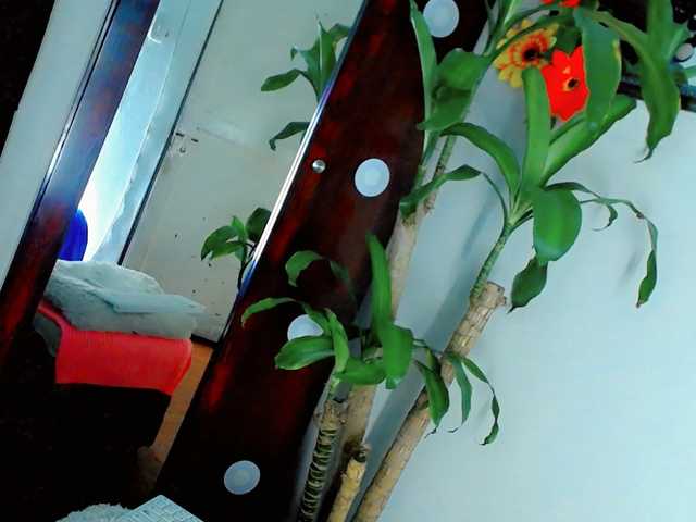 NathaliaLooes