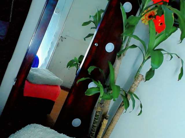 NathaliaLooes