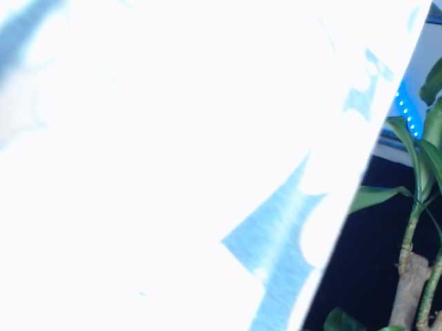 NathaliaLooes live cam