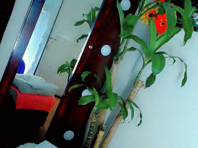 NathaliaLooes