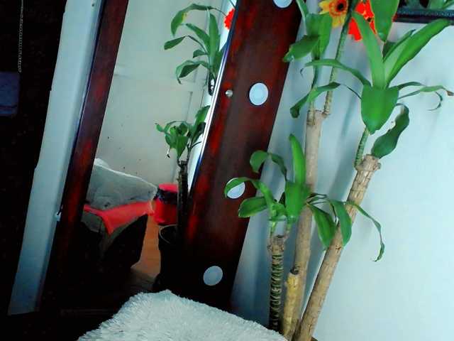 NathaliaLooes
