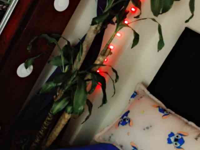 NathaliaLooes