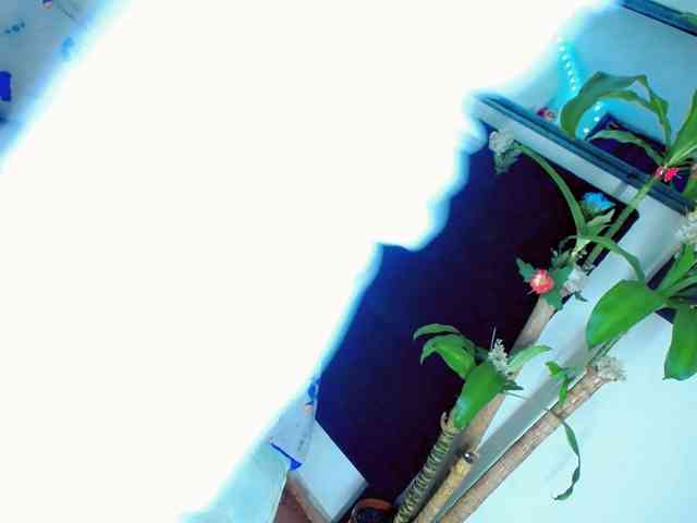 NathaliaLooes