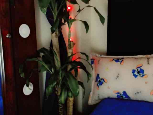 NathaliaLooes Live Webcam on BongaCams