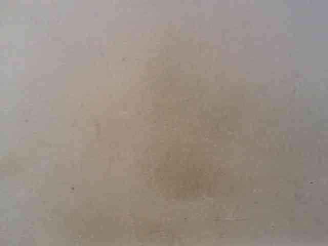 Maylis55 webcam
