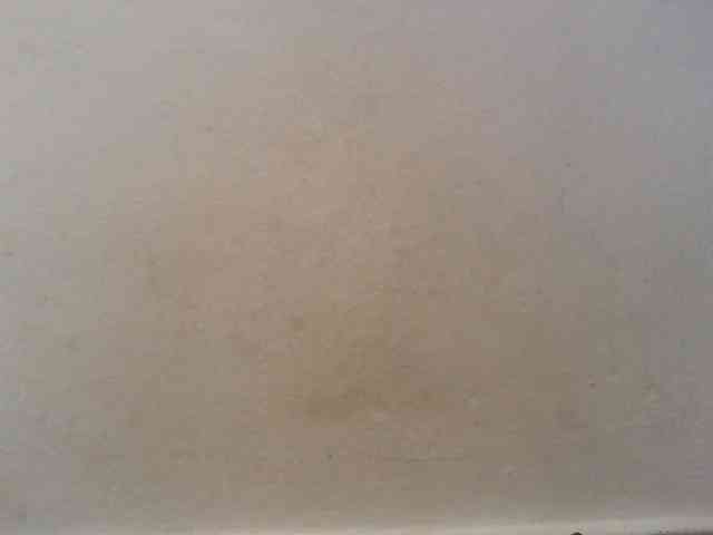 Maylis55 webcam