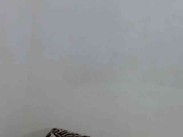 tiffanny-smith webcam