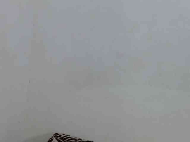 tiffanny-smith webcam