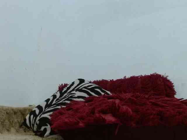 tiffanny-smith webcam