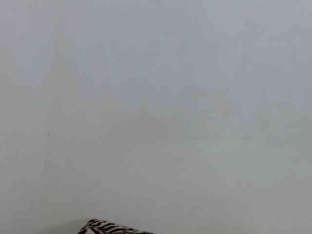 tiffanny-smith webcam
