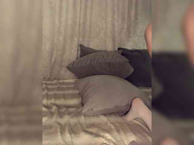 DARIBLESS webcam