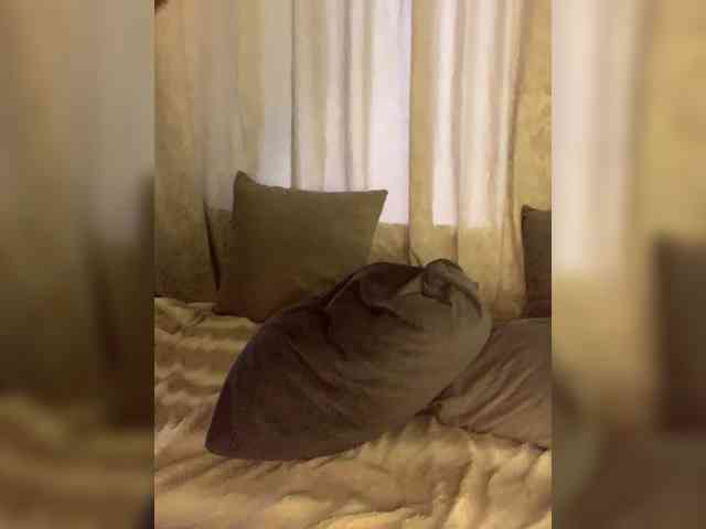 DARIBLESS webcam