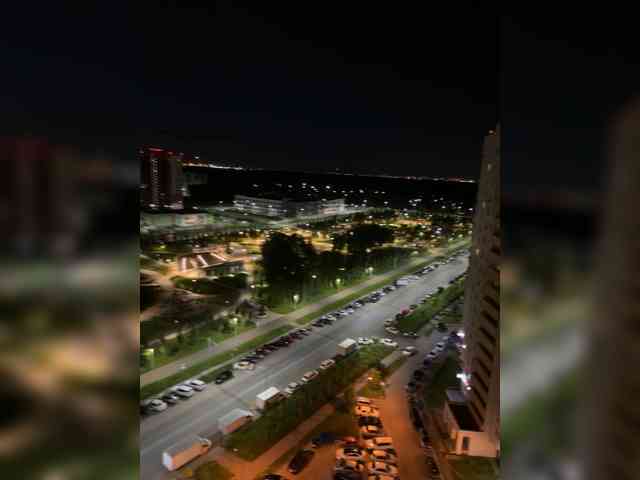 RIM-and-ARI webcam