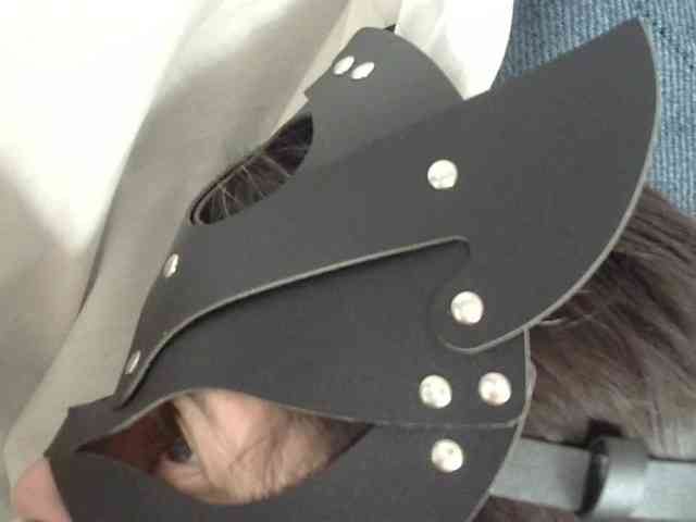 Maskcouple7