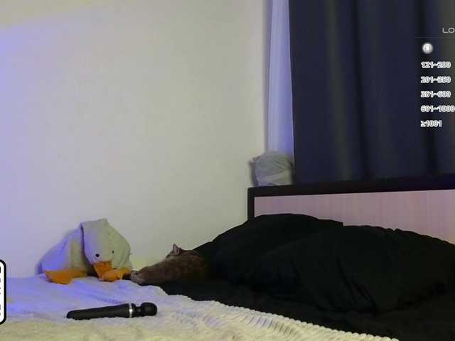 Preview of meowmeow-mia