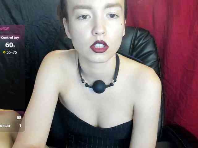 Kiticattt webcam