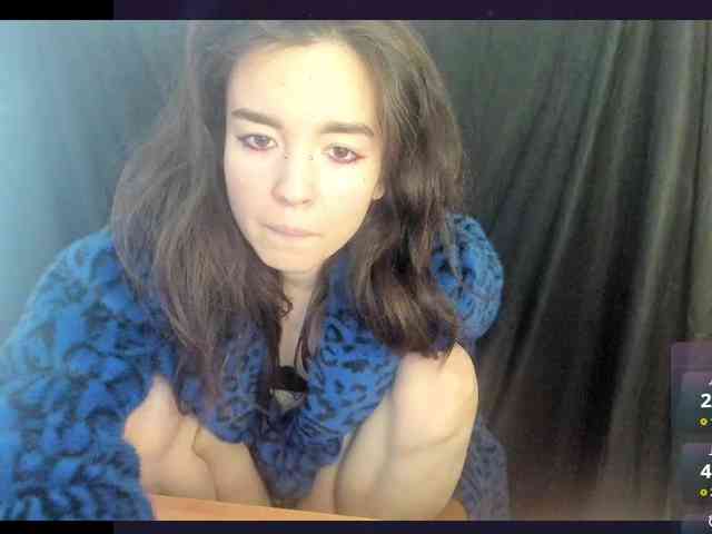 Модель: Kiticattt