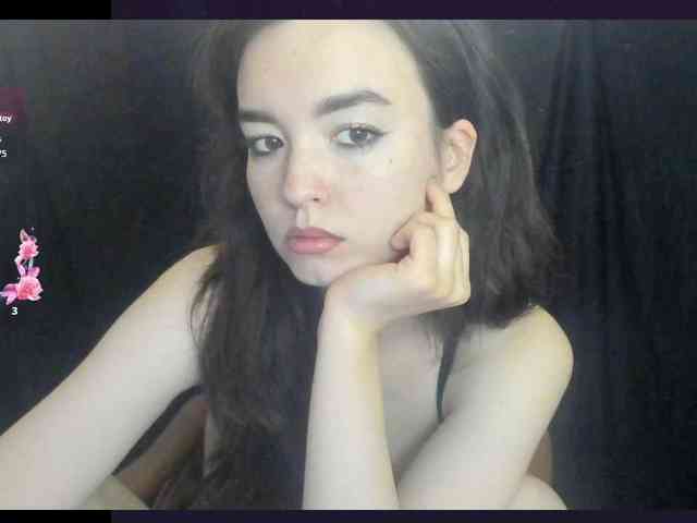 Kiticattt webcam