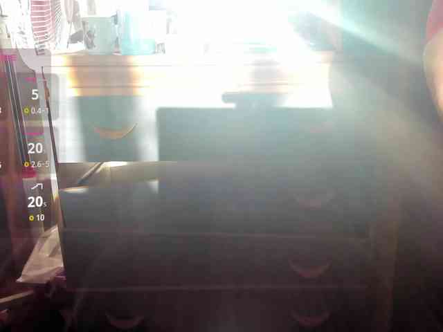 Kiticattt webcam