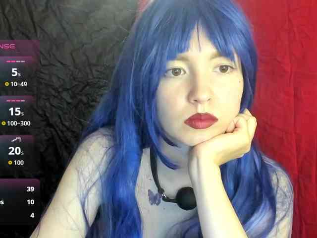 Kiticattt webcam