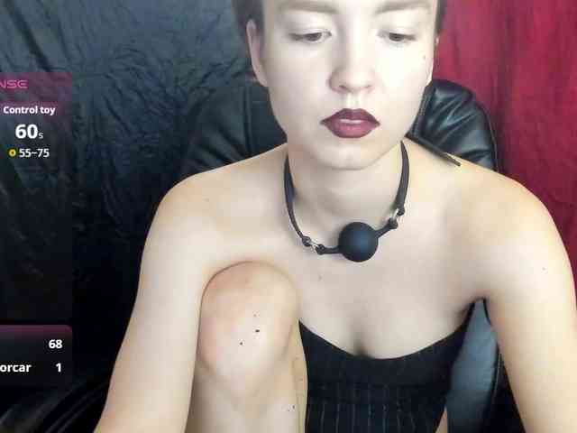 Kiticattt webcam