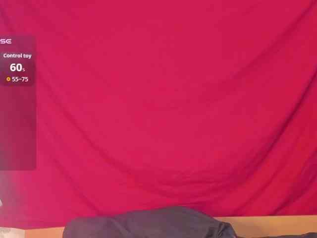 Kiticattt webcam