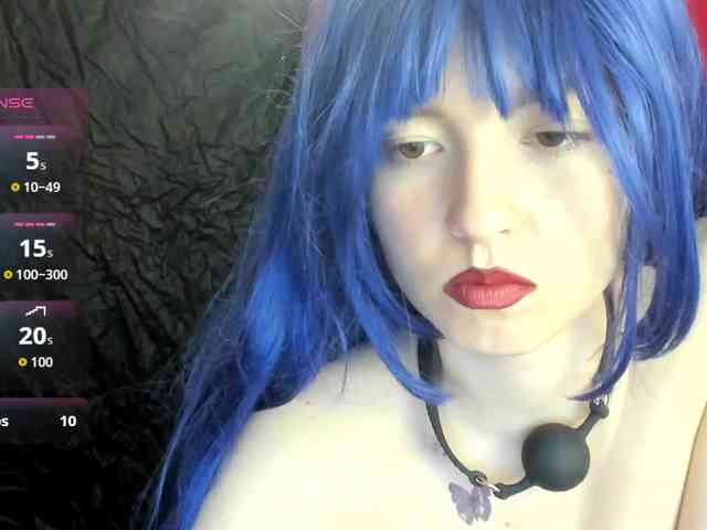 Kiticattt webcam