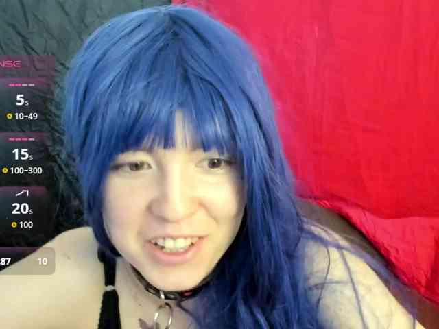 Kiticattt webcam