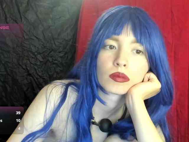 Kiticattt webcam
