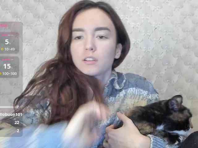 Kiticattt webcam