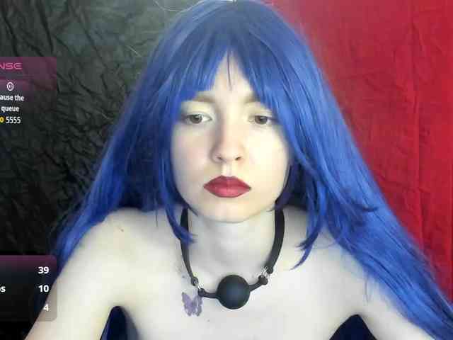 Kiticattt webcam