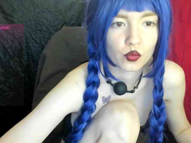 Kiticattt webcam